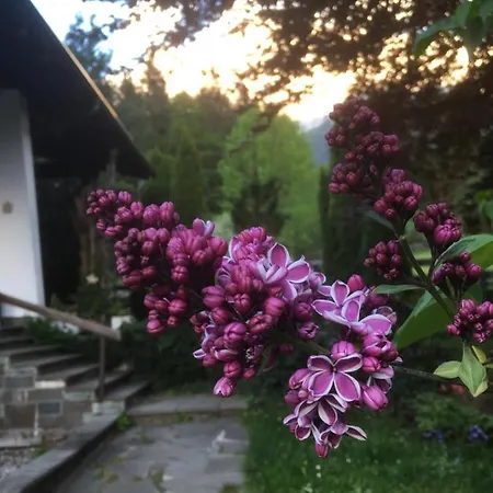 Wieswald 에르발트