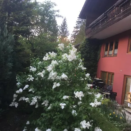 Wieswald