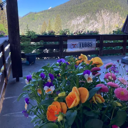 Wieswald 公寓 埃尔瓦尔德