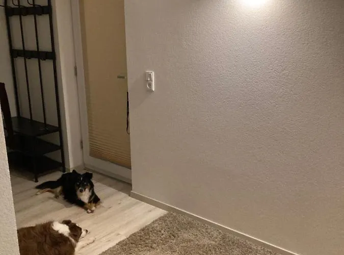 Apartamento Wieswald *