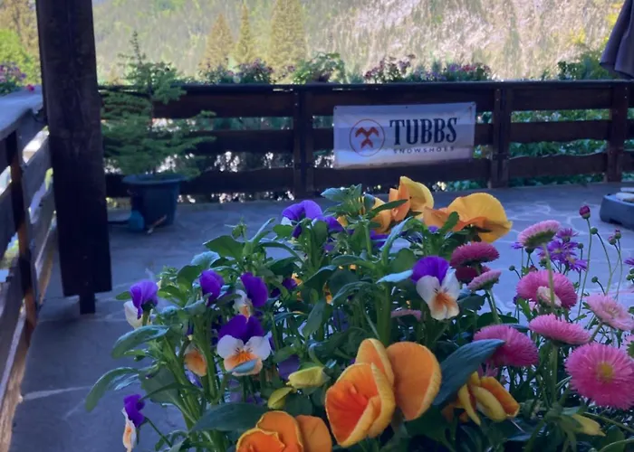 Wieswald Apartamento Ehrwald