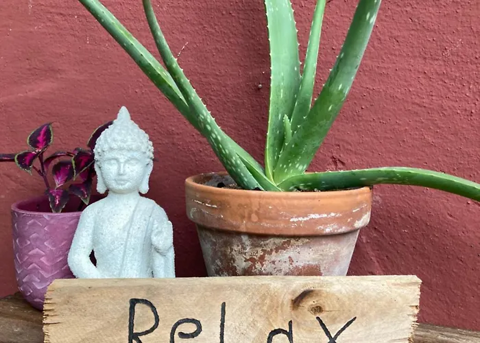 Wieswald Apartamento *