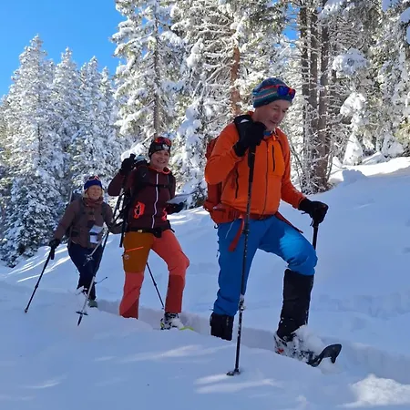 Wieswald Apartman Ehrwald