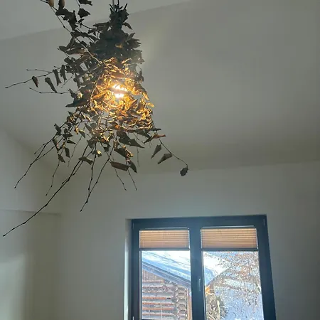 Wieswald Apartman Ehrwald